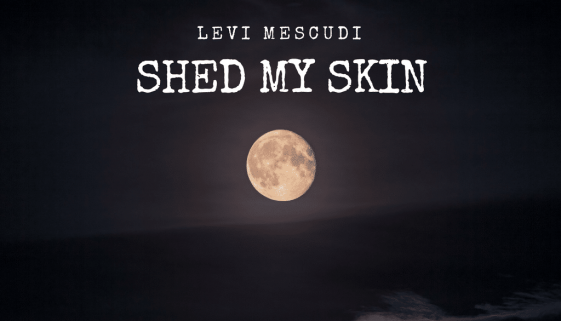 Blog Roctownlive Levi Mescudi