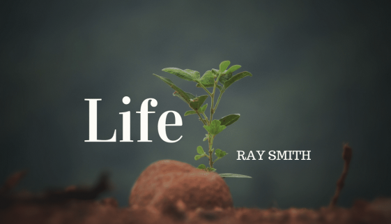 Ray Smith - Life