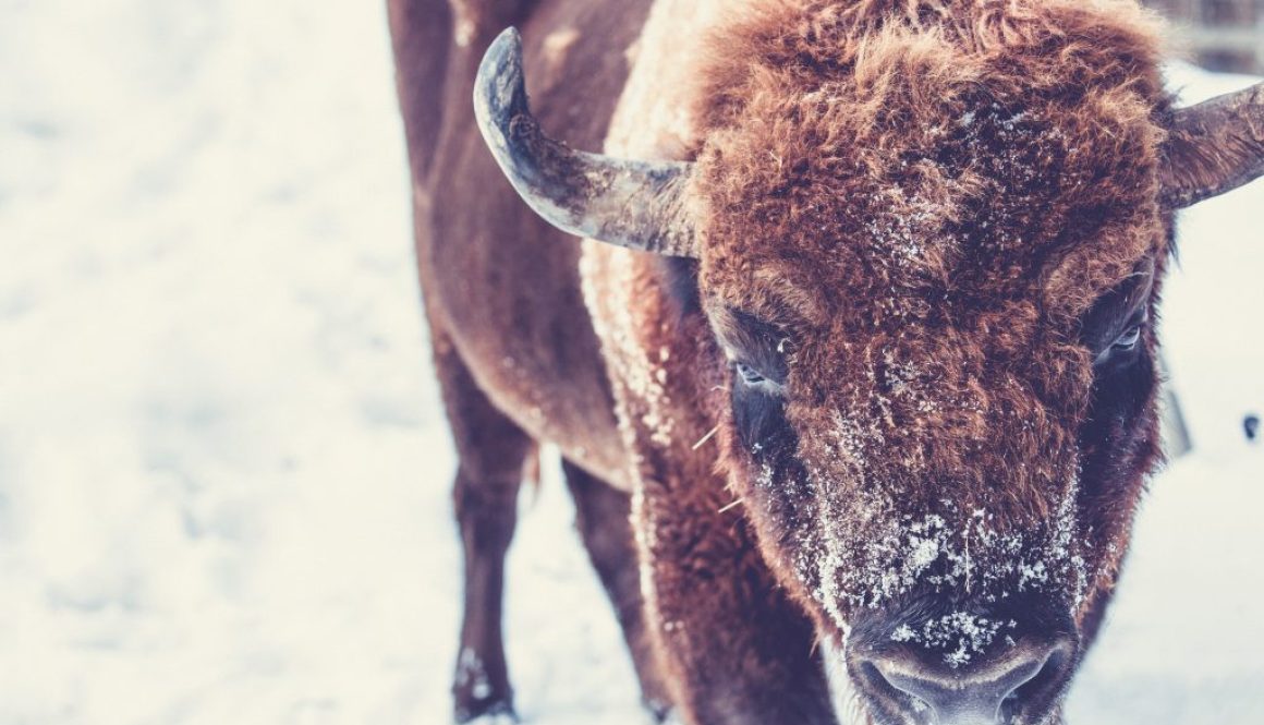 markus-spiske-xEOkXPYjiC4-unsplash